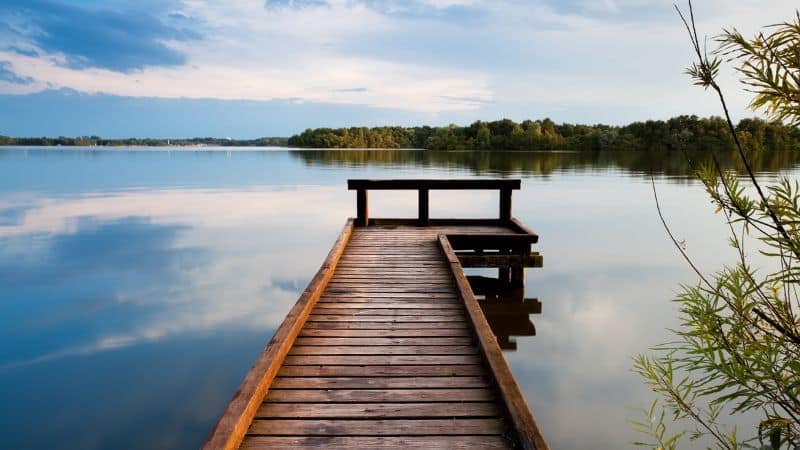 Fishing a smartphone out of the water? Here's how you do it.