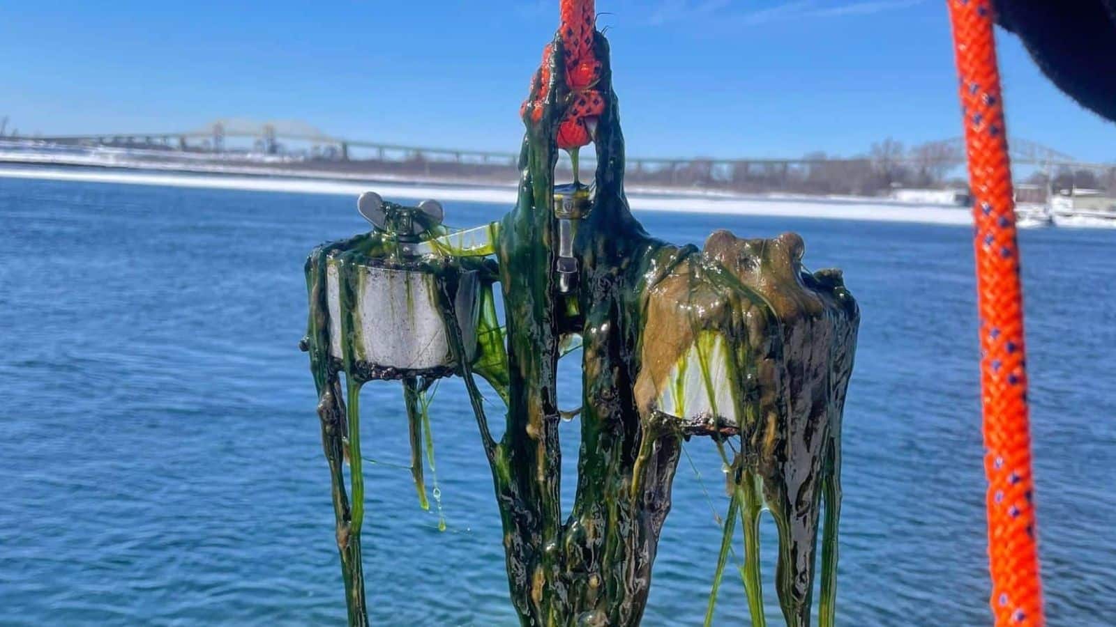 Clean your fishing magnet! It ensures the longevity of your magnet.
